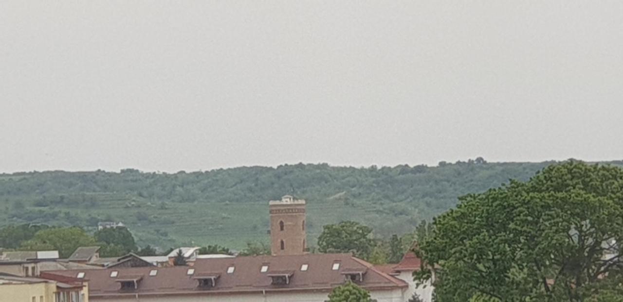 Hellen Apartament Targoviste Bagian luar foto